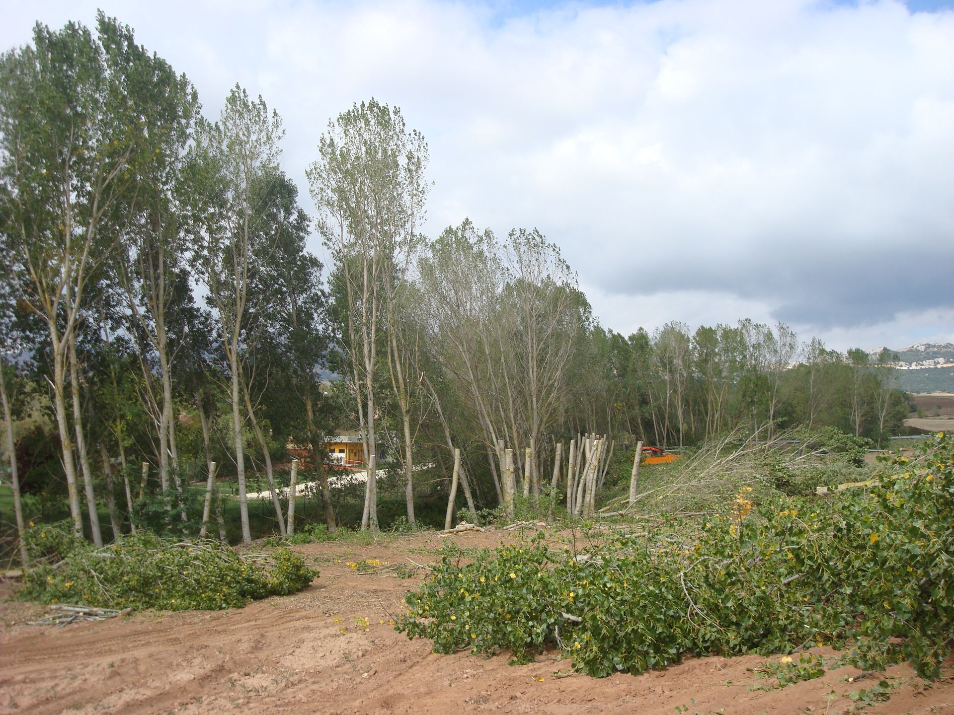 Foto Río La Revilla