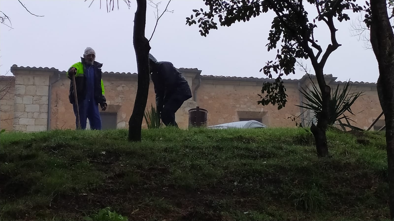 JORNADAS VERDES