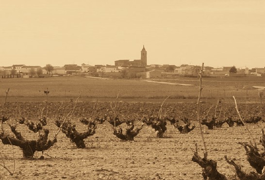 Chacolí en La Bureba