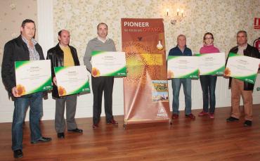 Premios cultivo de girasol