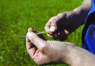 Agricultor en La Bureba